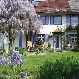 Biohof Und Imkerei Schlössle Allgäu Apartment Untrasried